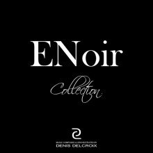 https://www.denis-delcroix.com/wp-content/uploads/2015/12/enoir-collection500.jpg